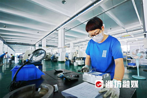 濰坊企業(yè)家榮膺歐洲自然科學(xué)院院士，技術(shù)創(chuàng)新引領(lǐng)產(chǎn)業(yè)發(fā)展